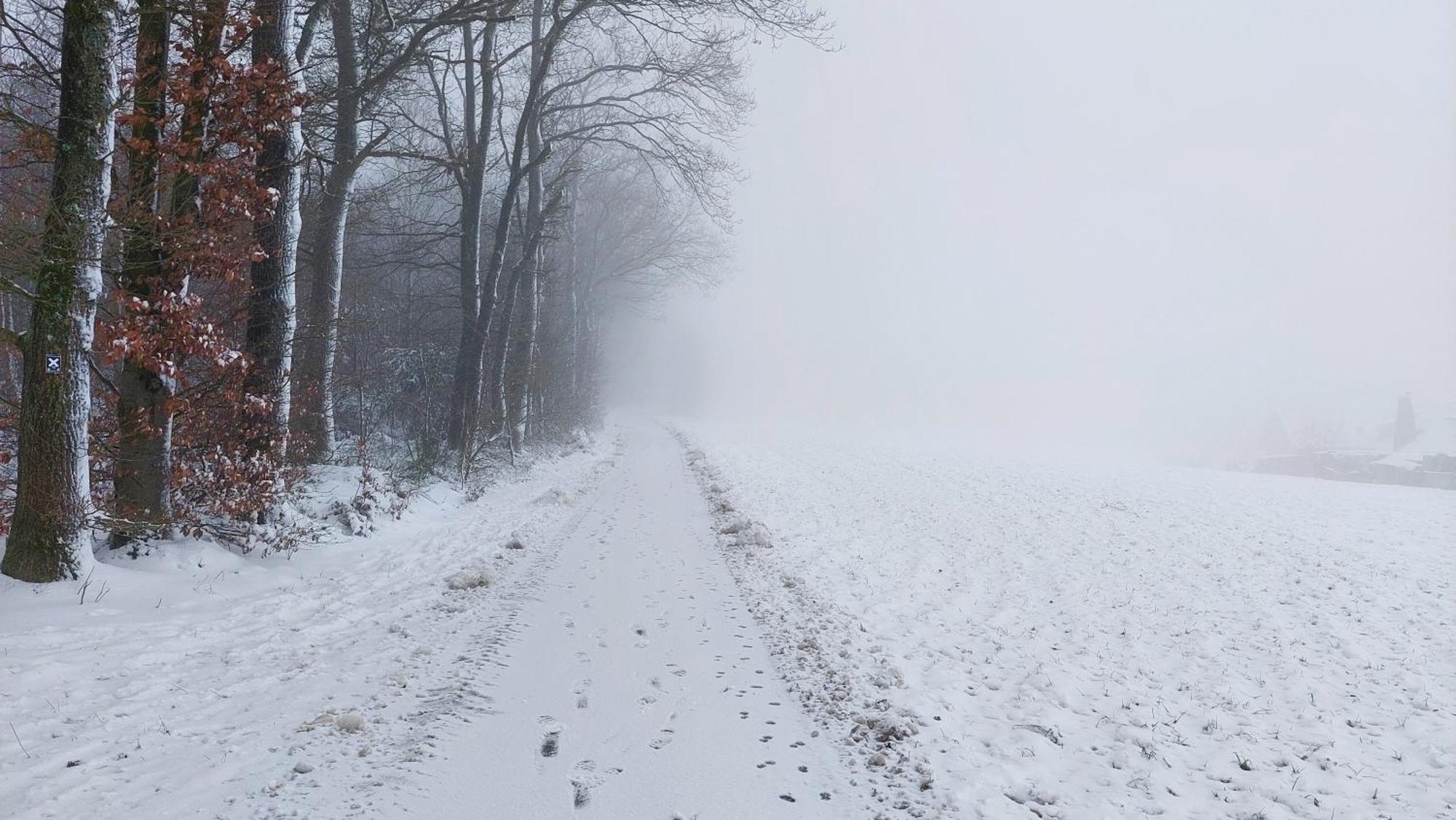 Ferienwohnung Waldbroel - Nahe Naturerlebnispark Waldbrol Kültér fotó